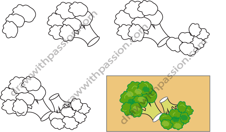 Broccoli drawing cute